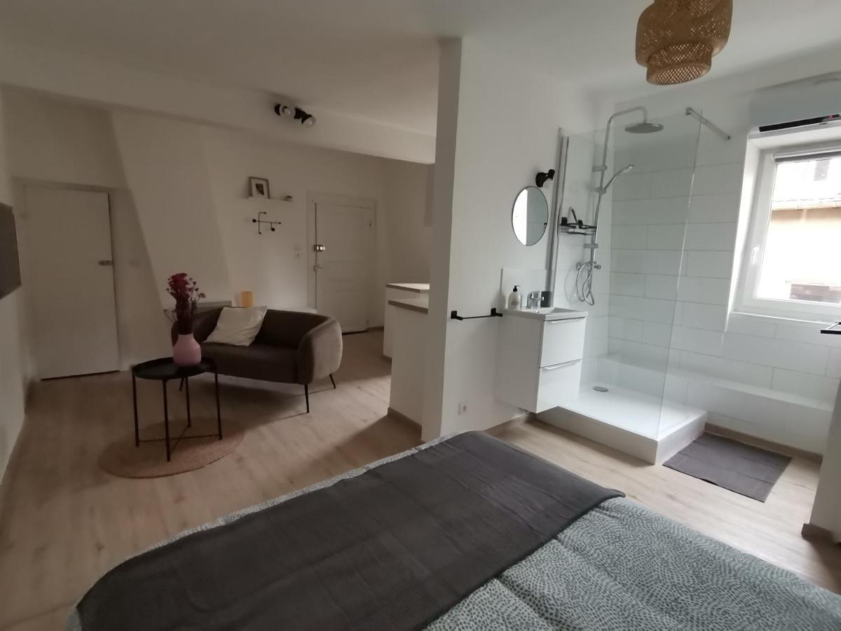 Apartament Toi Mon Toit Colmar Zewnętrze zdjęcie