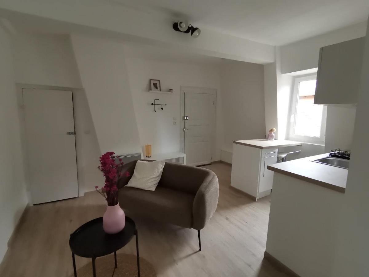 Apartament Toi Mon Toit Colmar Zewnętrze zdjęcie